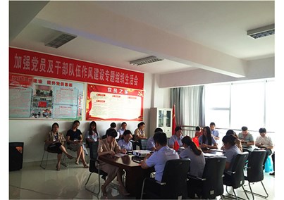 Huibo Medical Party Branch held a special organization life meeting